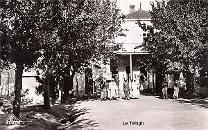 Telagh 609